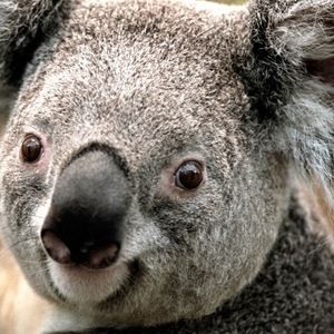 Meet your Posher, Ariane